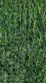 25-mm London Artificial Grass for Indoor and Outdoor