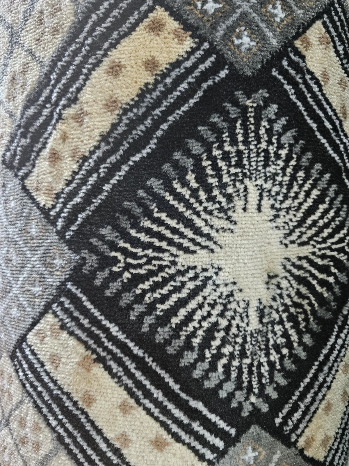 Wall to Wall Carpet Alpha