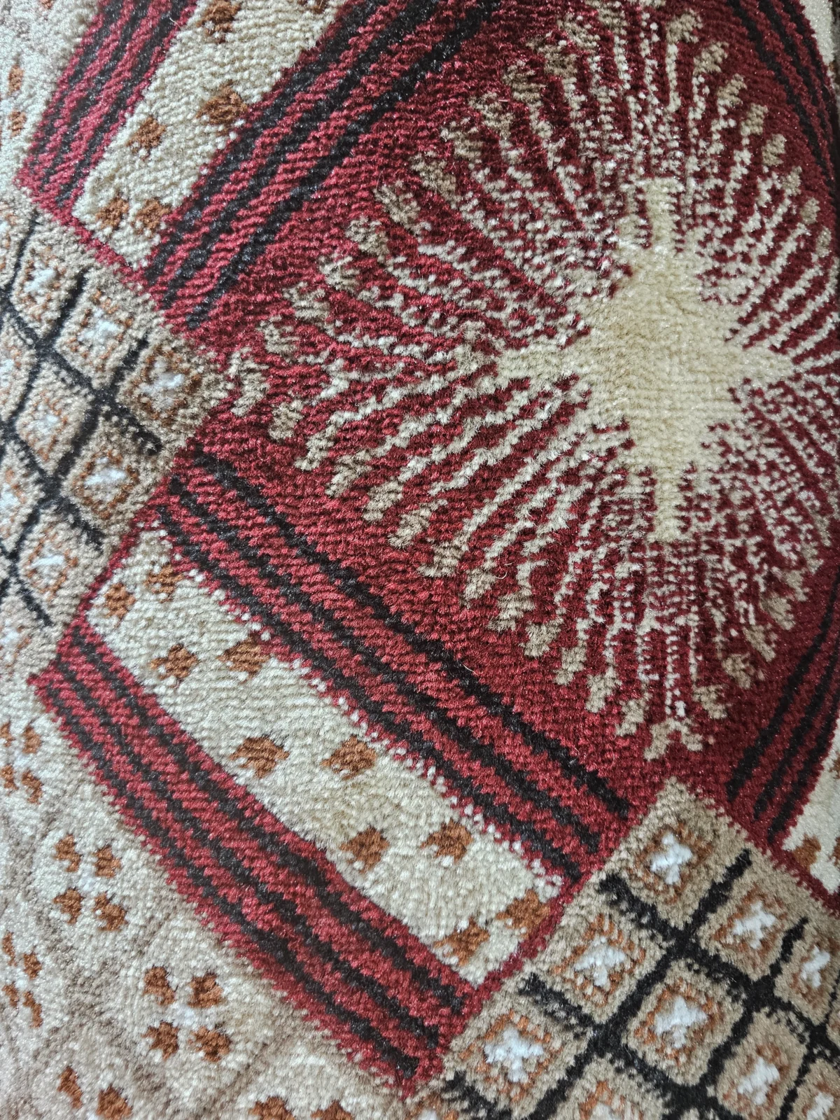 Wall to Wall Carpet Alpha