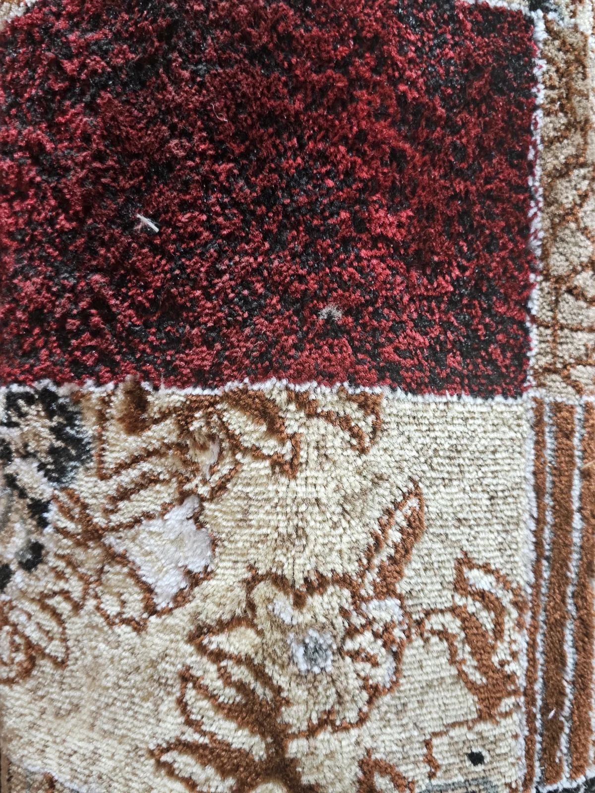 Wall to Wall Carpet Alpha-2