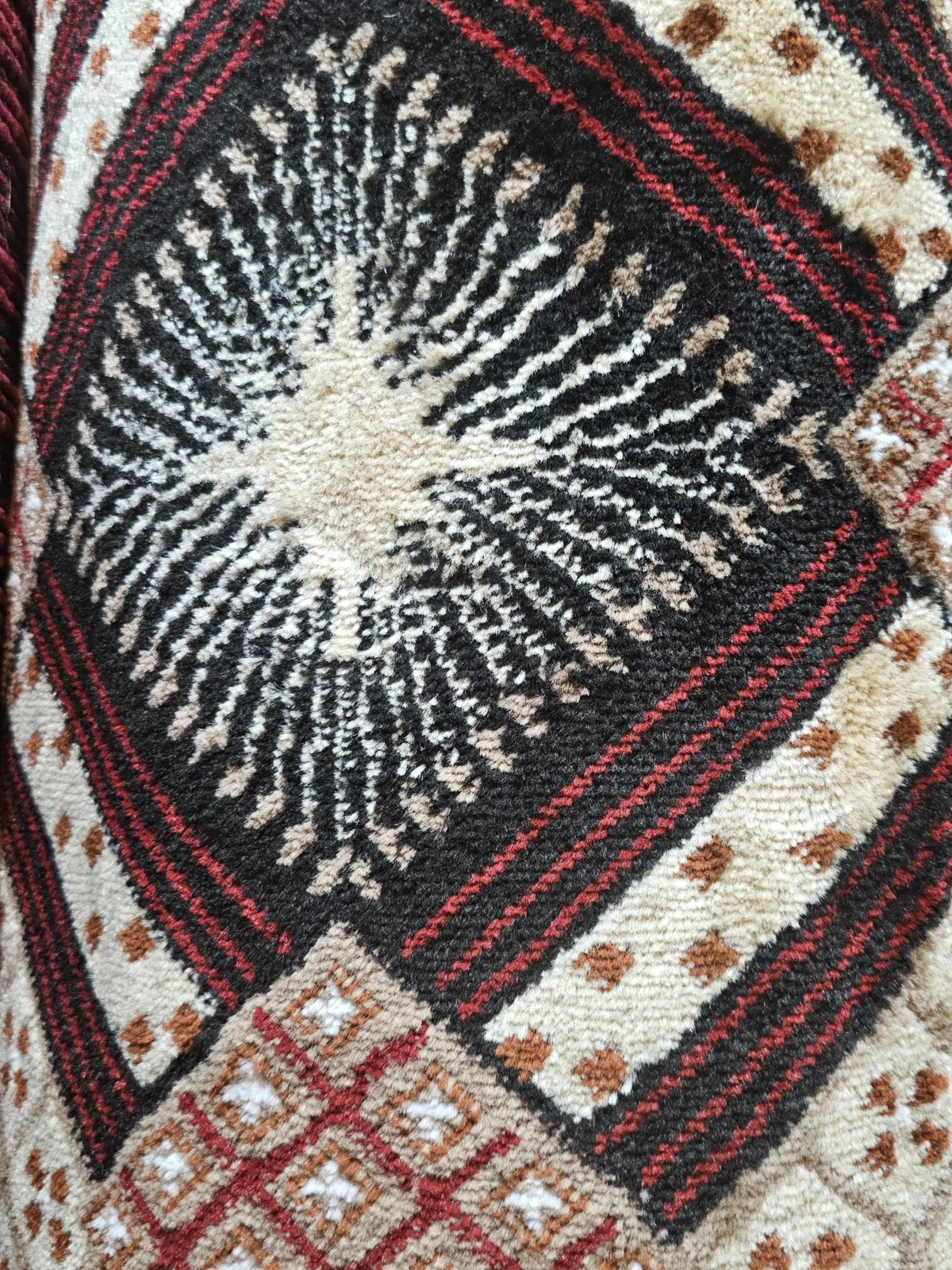 Wall to Wall Carpet Alpha