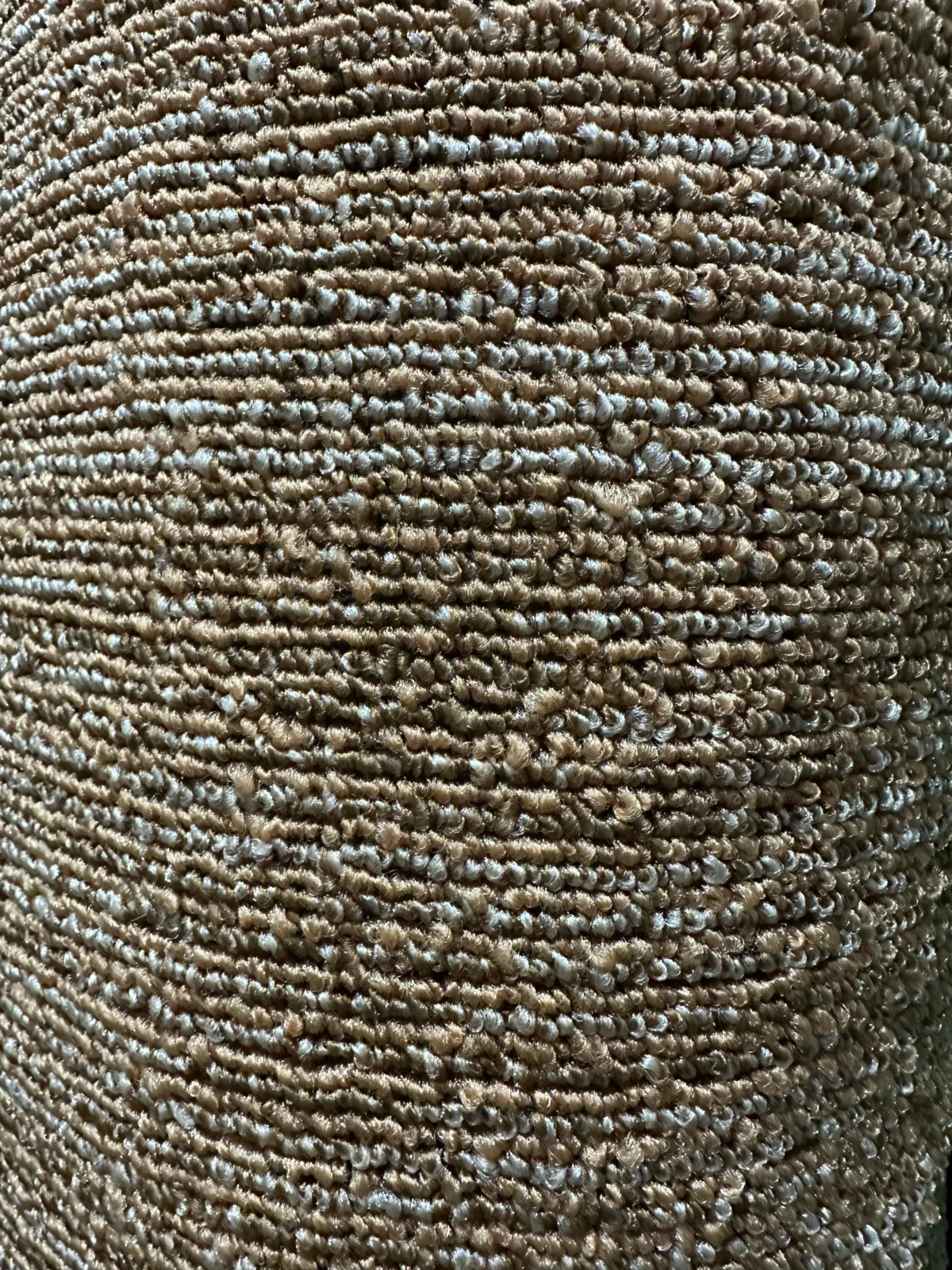 Wall to Wall Carpet Reflection - Image 3
