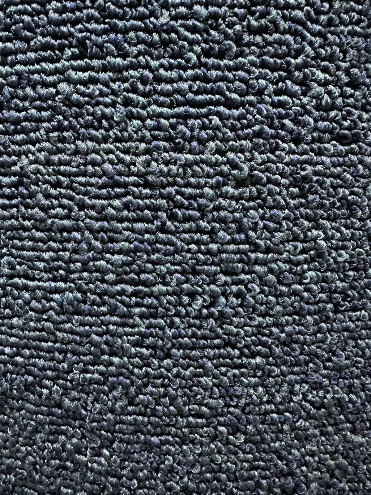 Wall to Wall Carpet Reflection