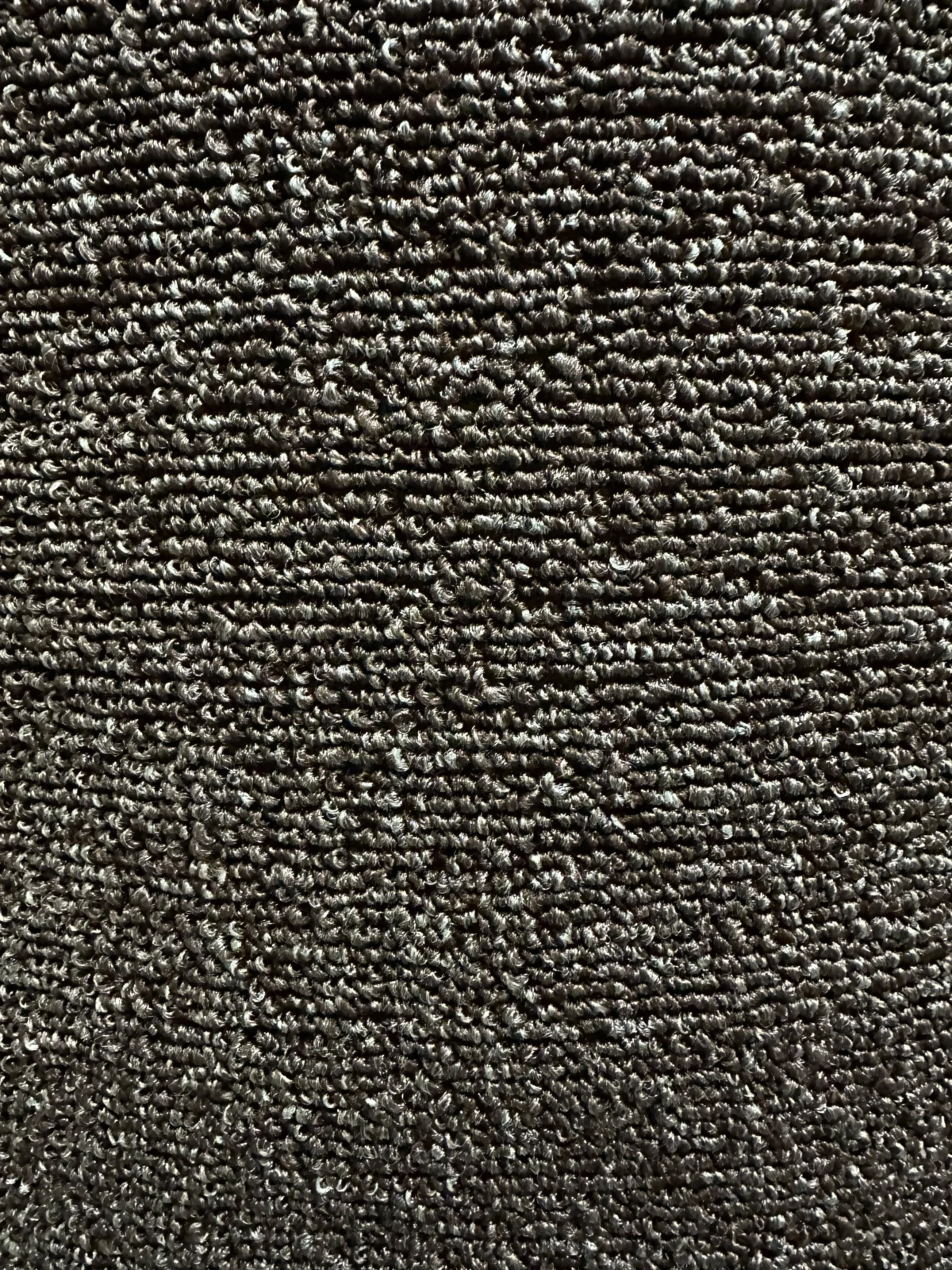Wall to Wall Carpet Reflection - Image 6