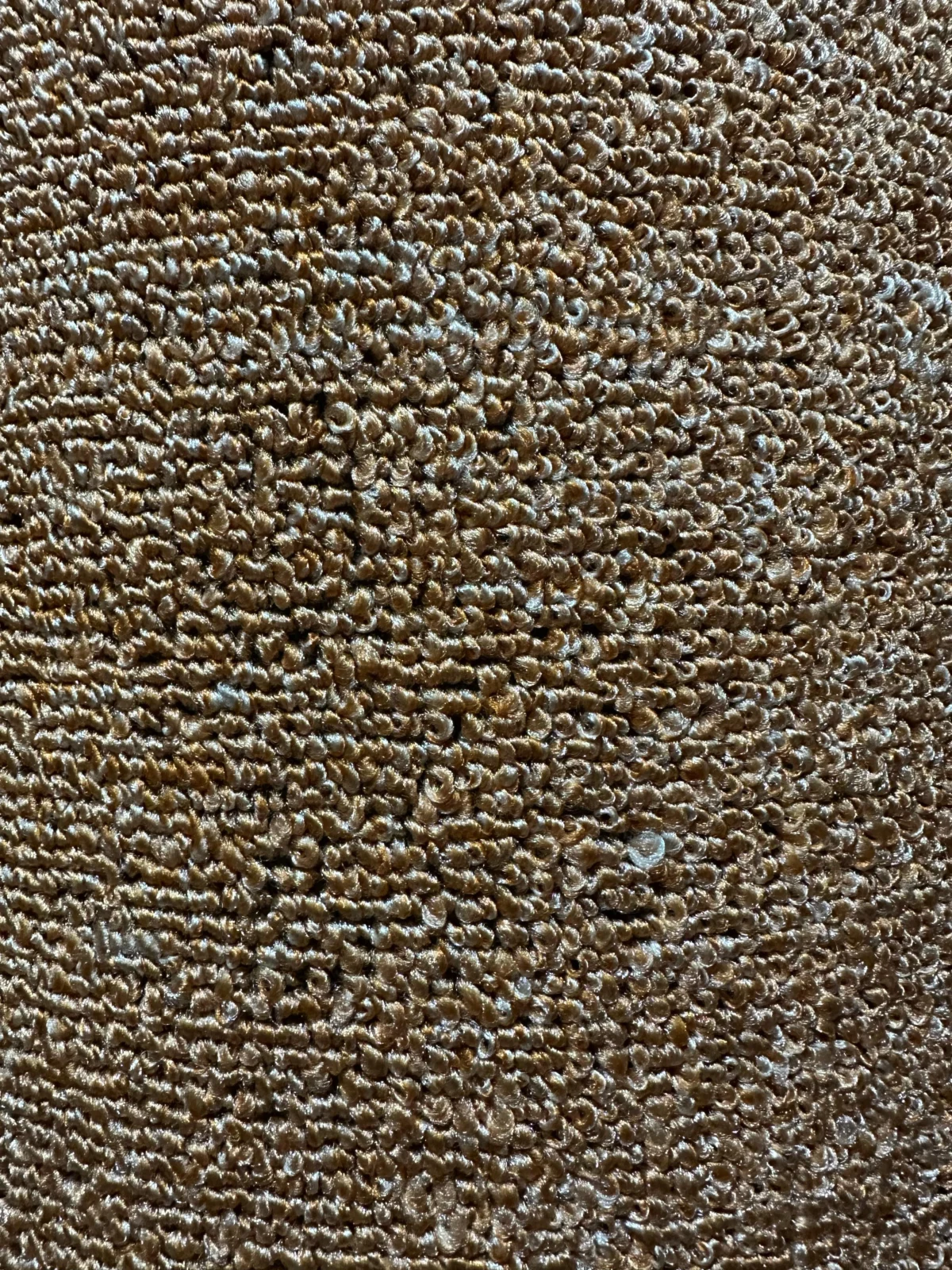 Wall to Wall Carpet Reflection - Image 9