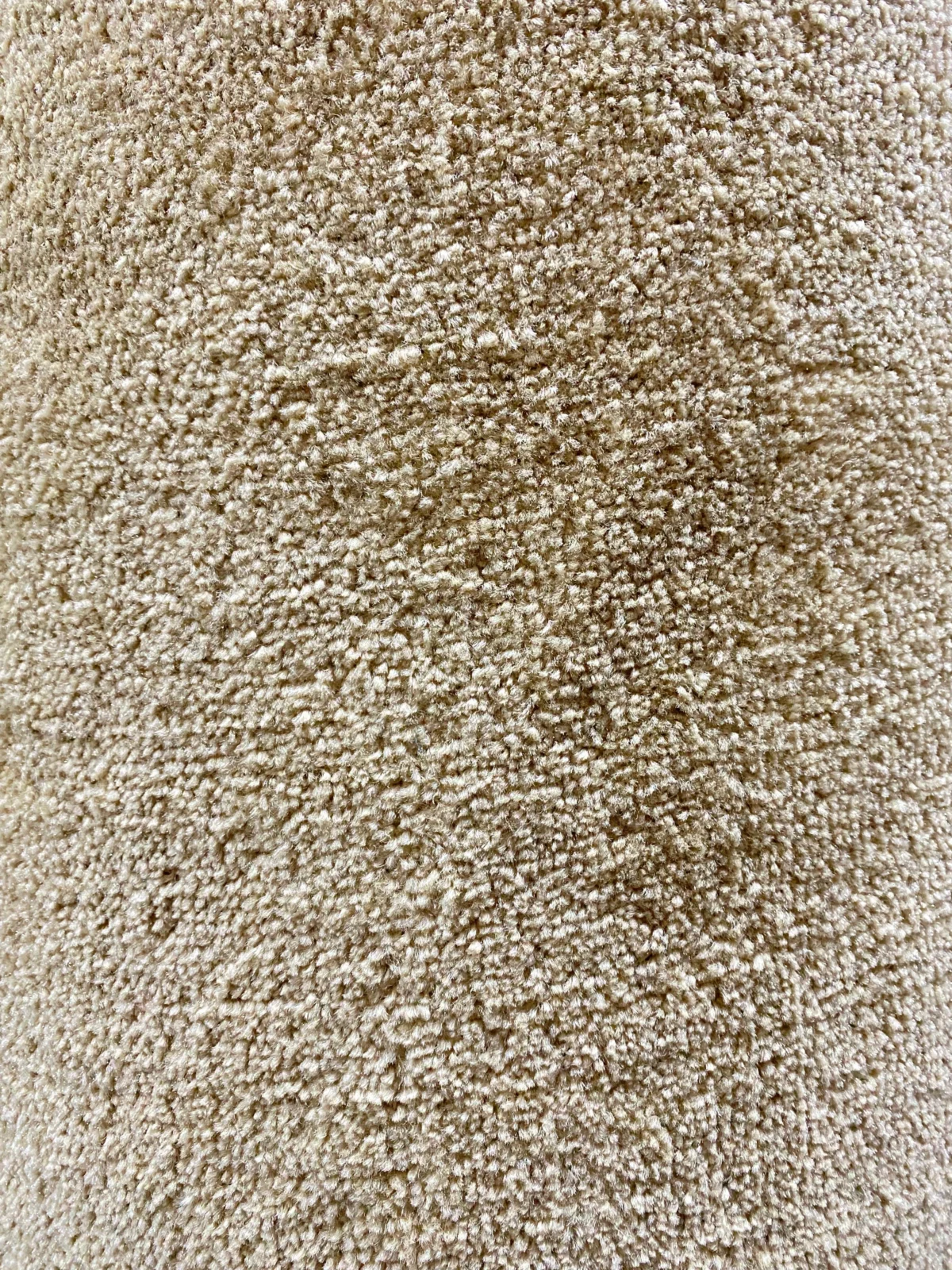 Wall to Wall Carpet Velvet