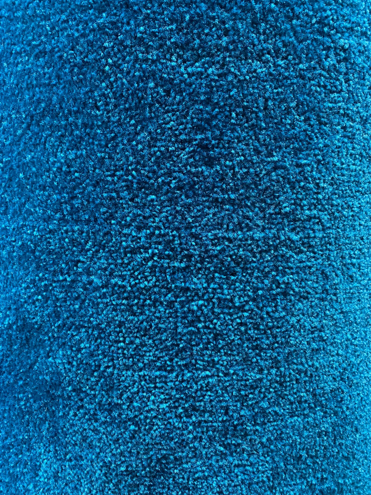Wall to Wall Carpet Velvet