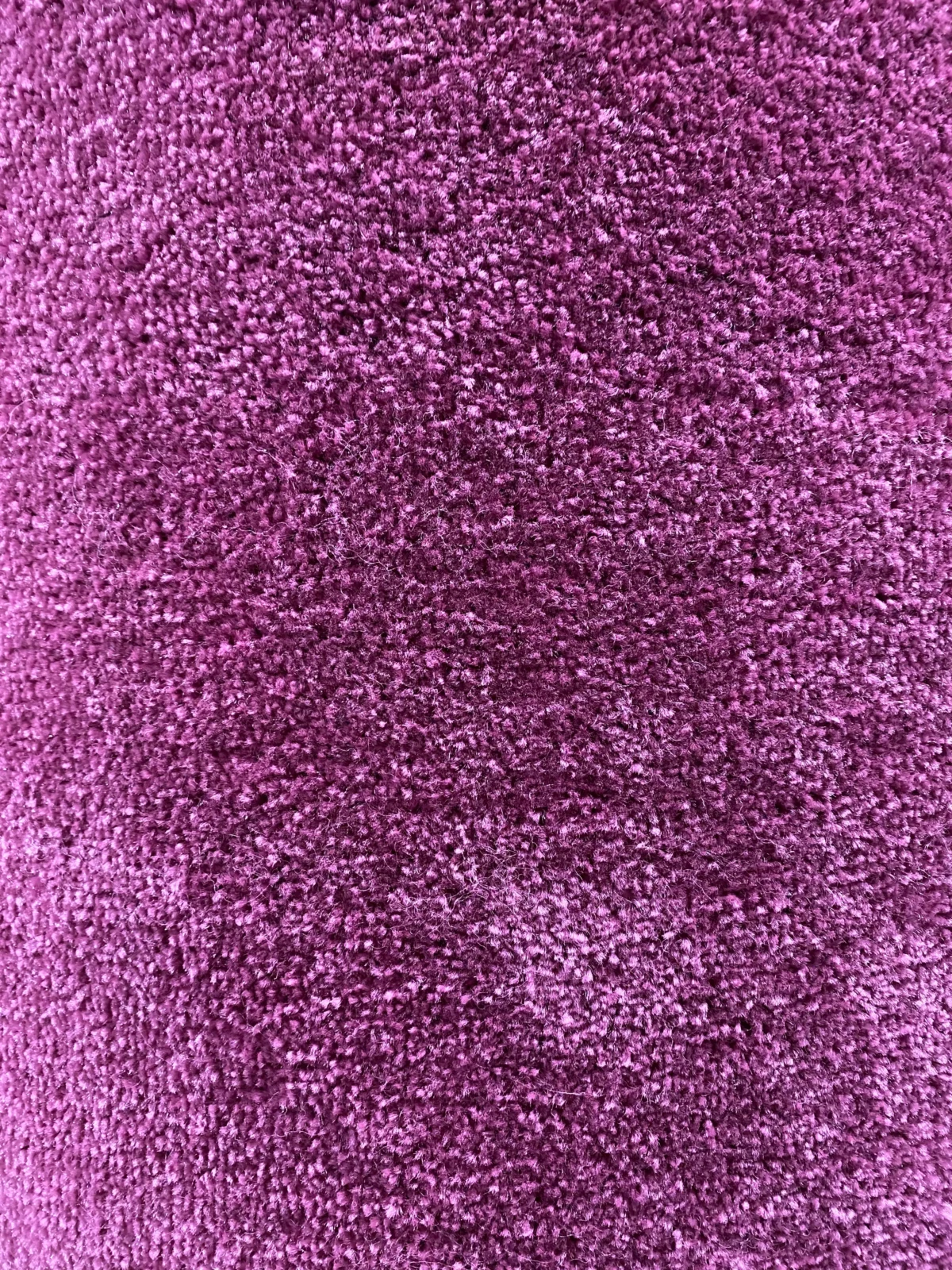 Wall to Wall Carpet Velvet