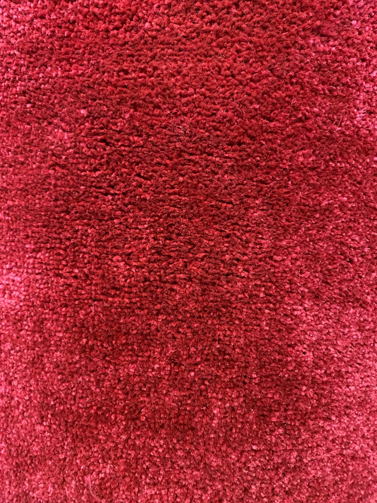 Wall to Wall Carpet Velvet