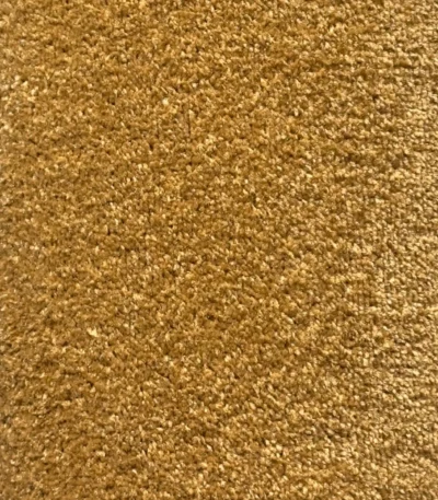 Wall to Wall Carpet Majestic