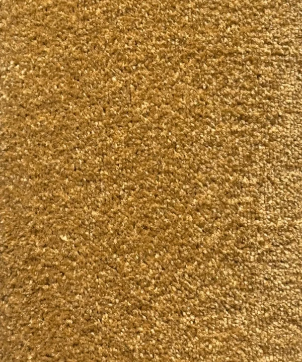 Wall to Wall Carpet Majestic