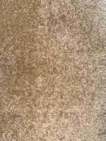Wall to Wall Carpet Majestic