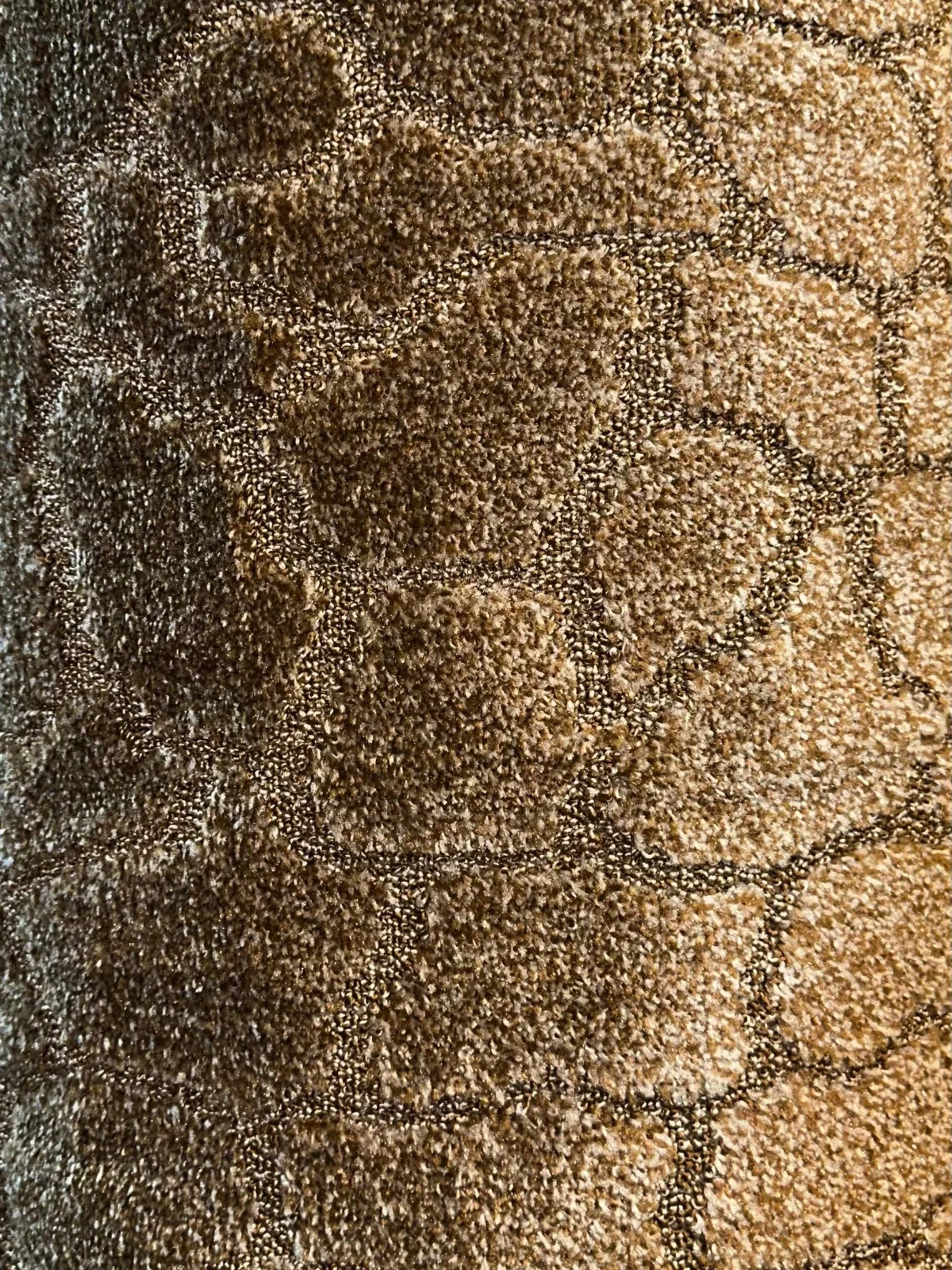 Wall to Wall Venus Pebble Cutwork