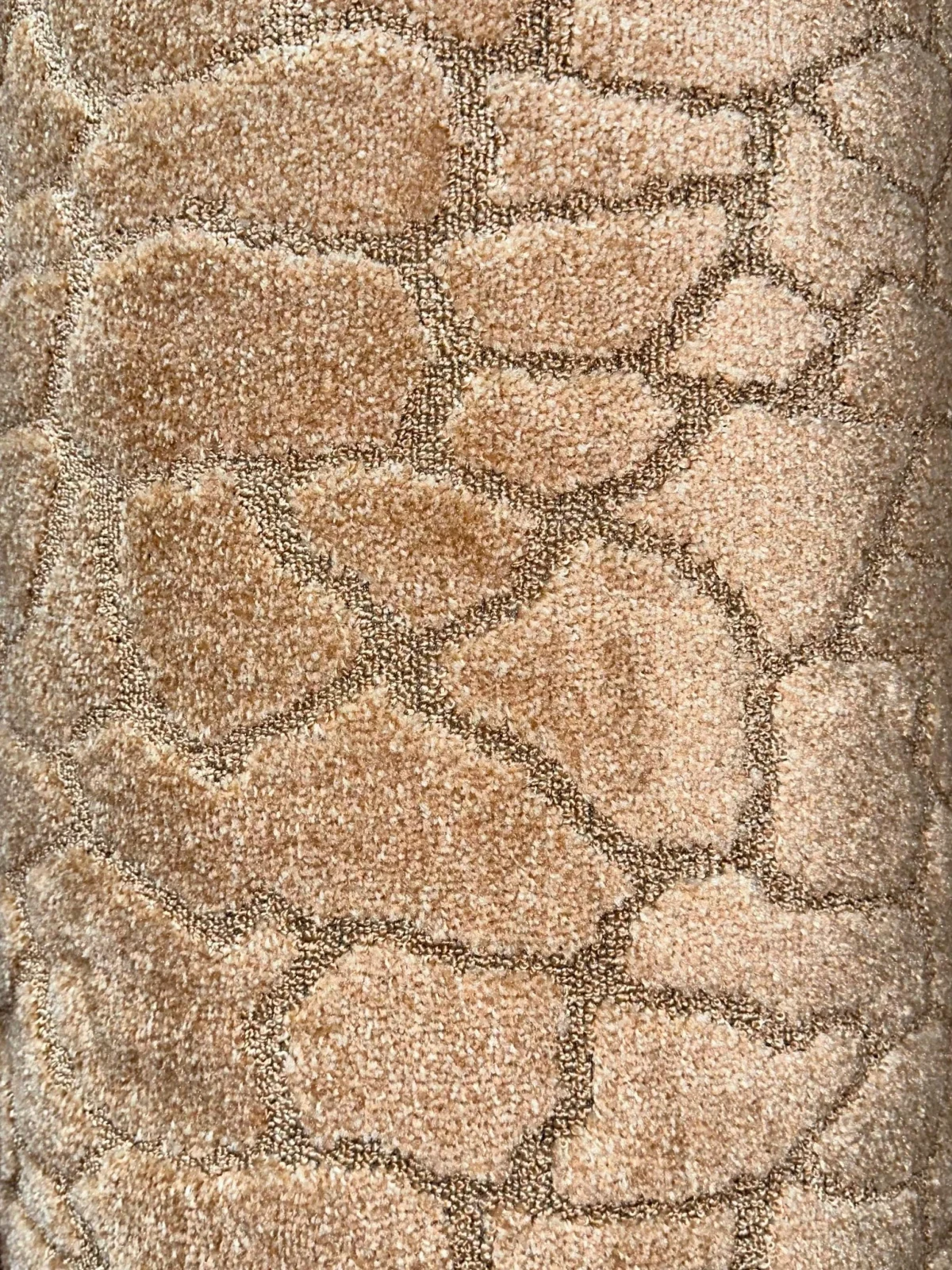 Wall to Wall Venus Pebble Cutwork