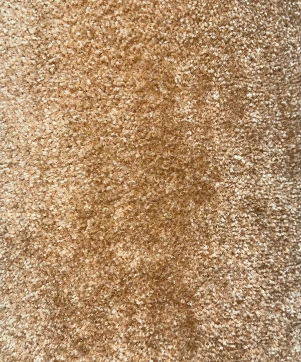 Wall to Wall Carpet Fragrance