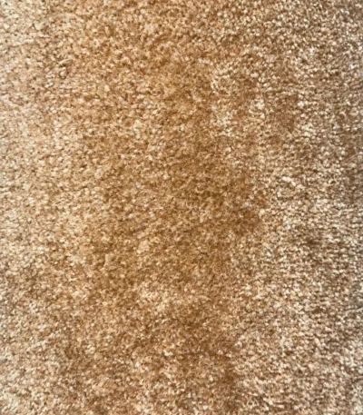 Wall to Wall Carpet Fragrance