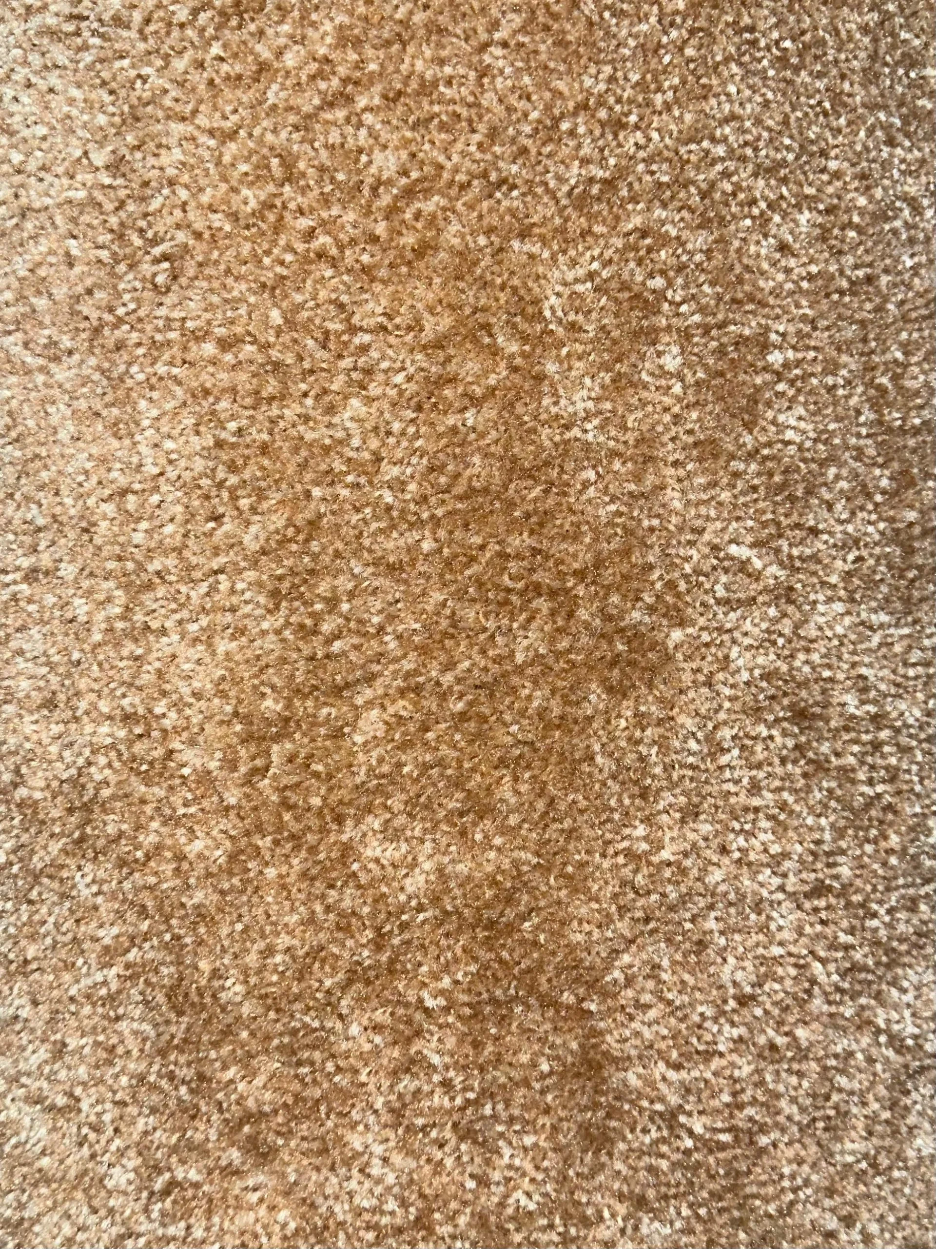 Wall to Wall Carpet Fragrance