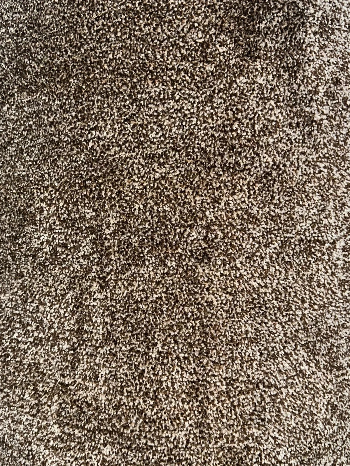 Wall to Wall Carpet Fragrance
