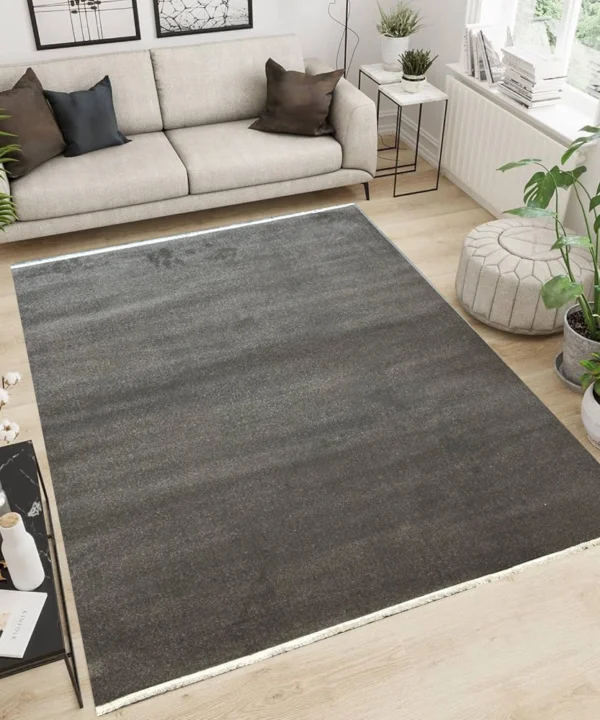 Eritme DGrey Rug