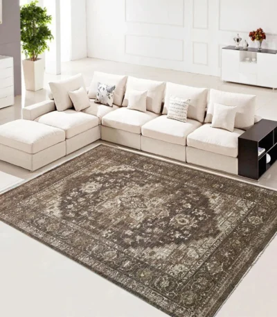 Loloi Merida LBrown Rug