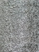 Wall to Wall Carpet Shaggy