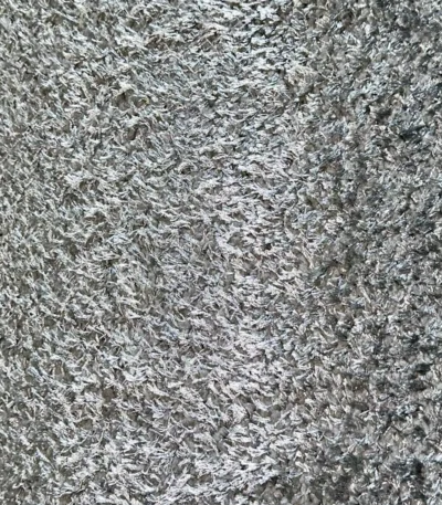 Wall to Wall Carpet Shaggy