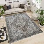 Raye Carpet CreamBrown Rug