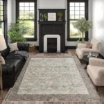Loloi Blake BeigeGrey Rug