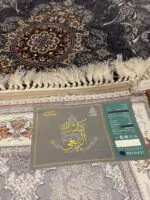 Sarvestan 700 Reeds Irani Rug GreyOffWhite back